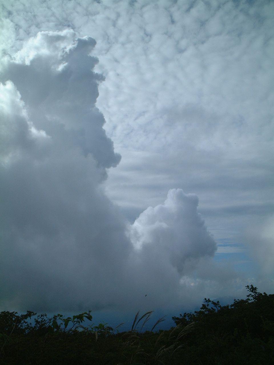 DSCF0023.JPG