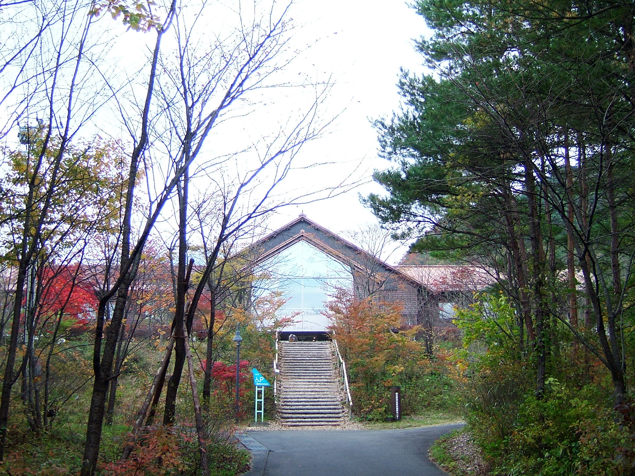 DSCF4225.JPG