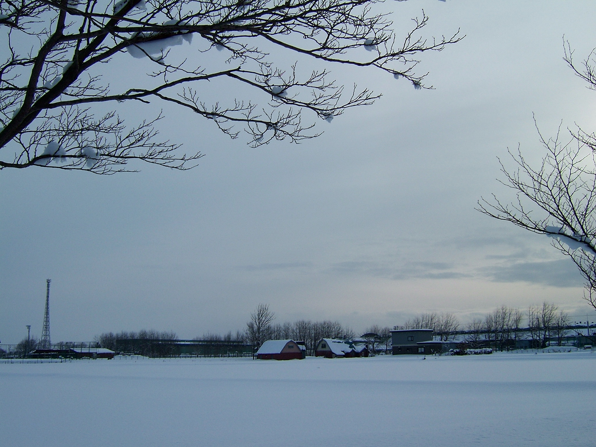 DSCF4458.JPG