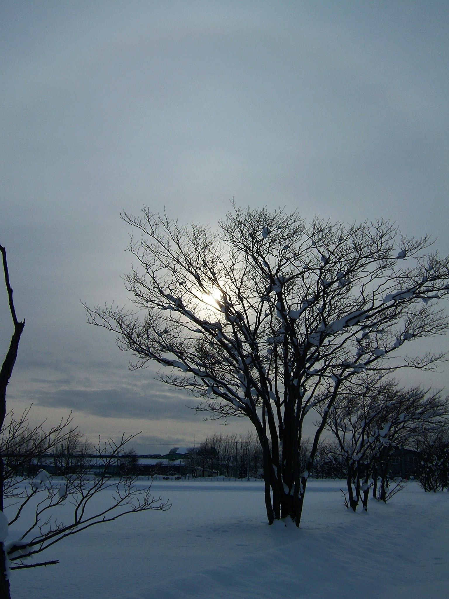 DSCF4459.JPG