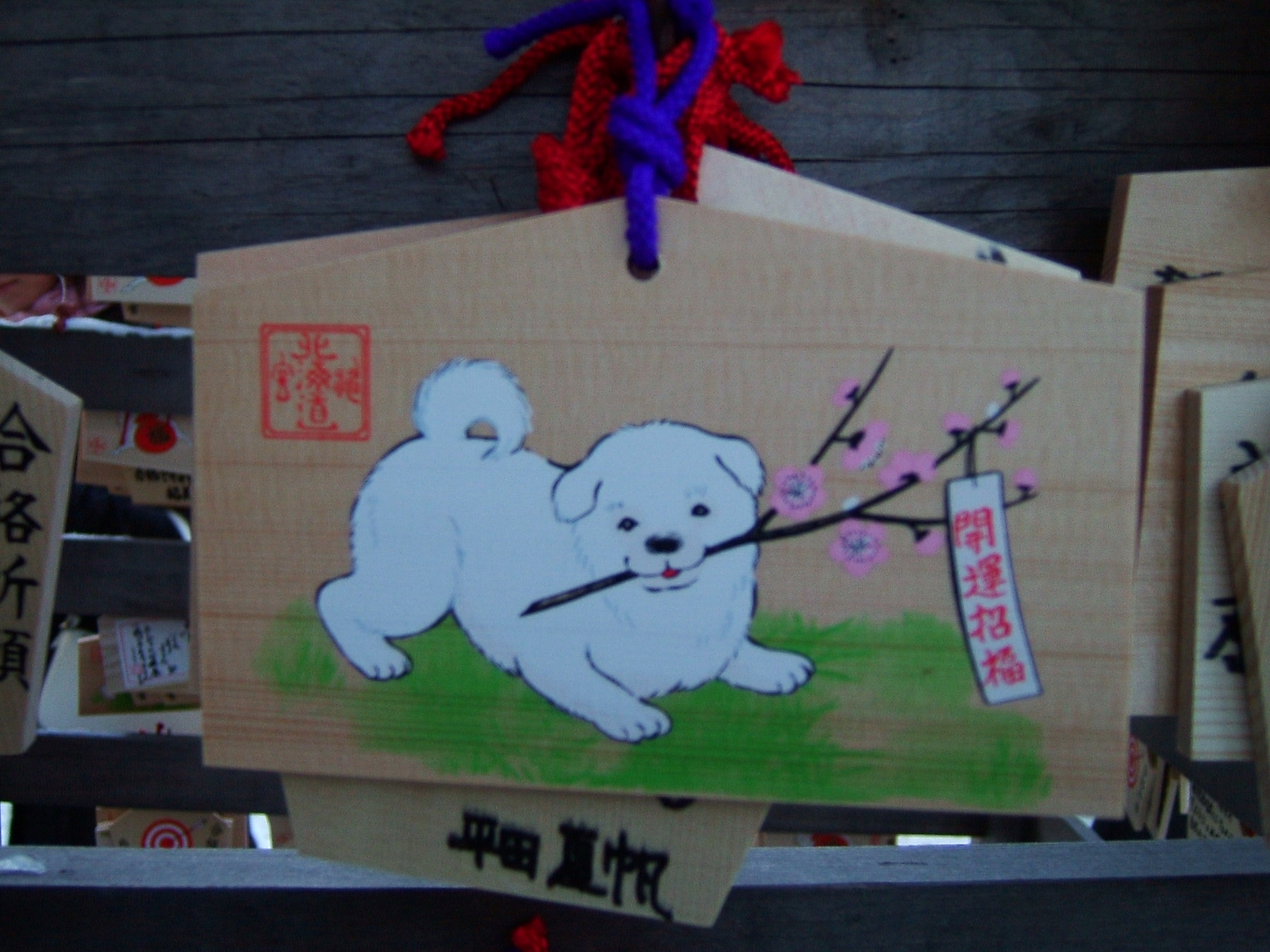 DSCF4477.JPG