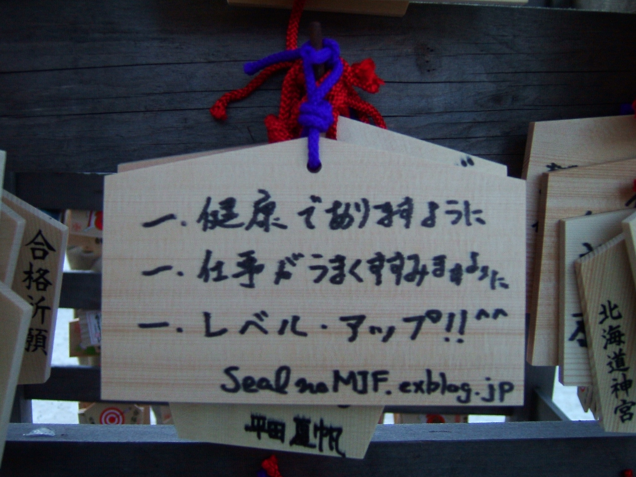 DSCF4478.JPG