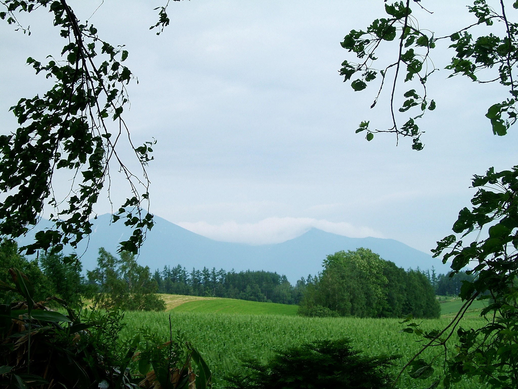 DSCF6034.JPG