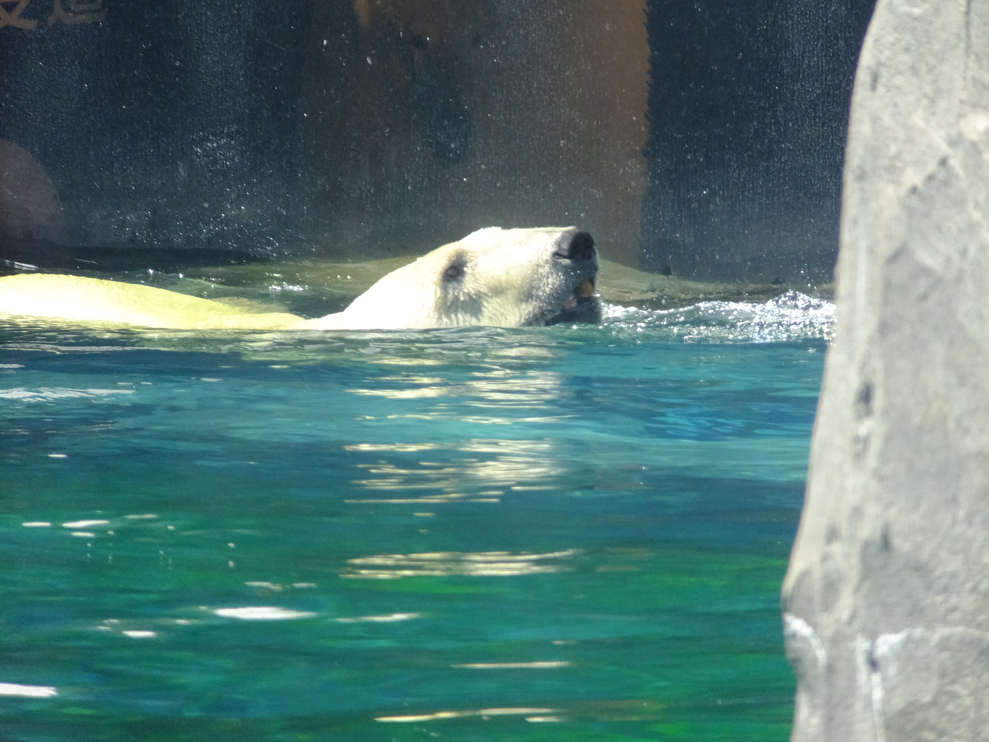 DSCF1121.JPG