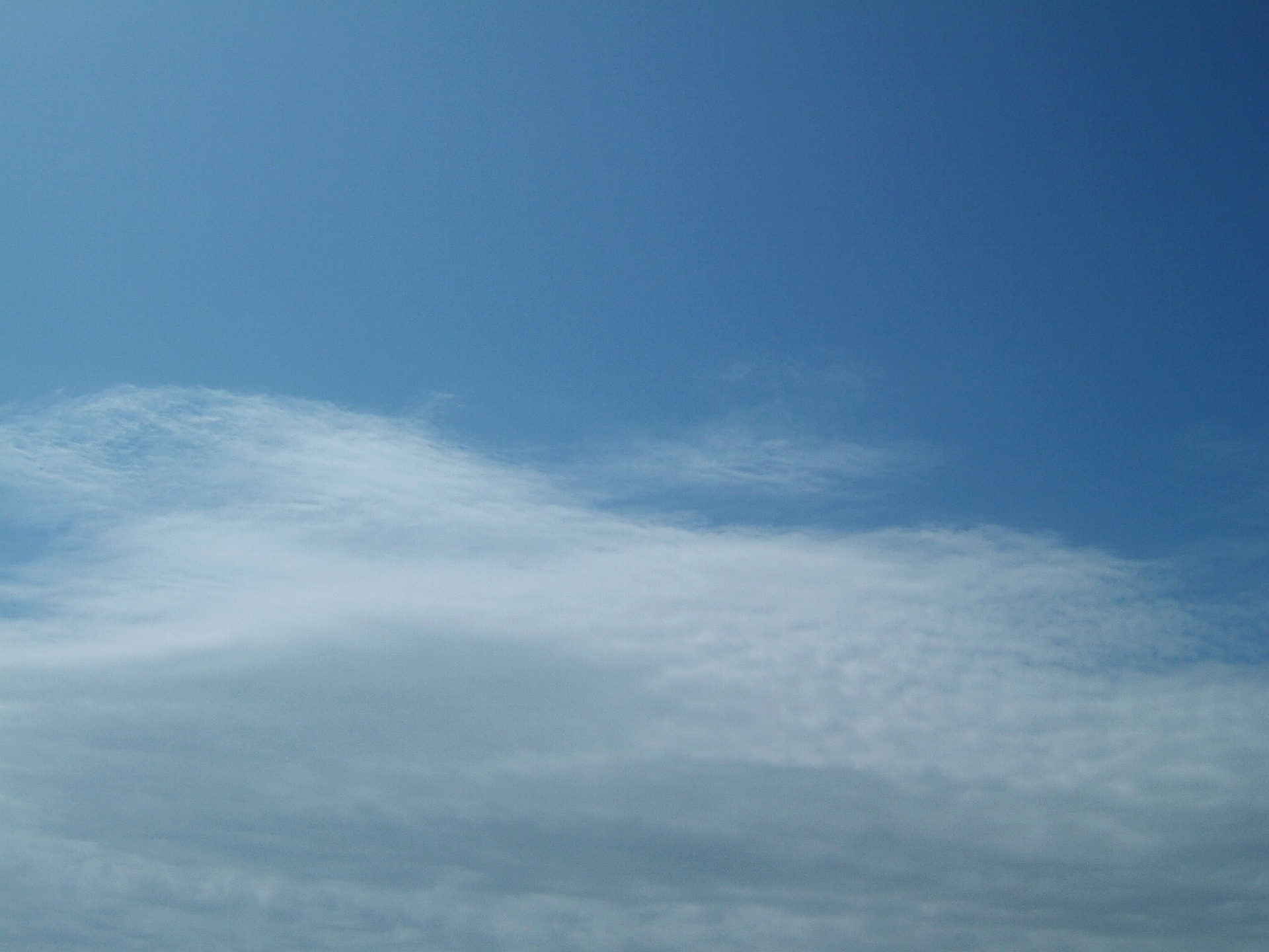 DSCF1795.jpg