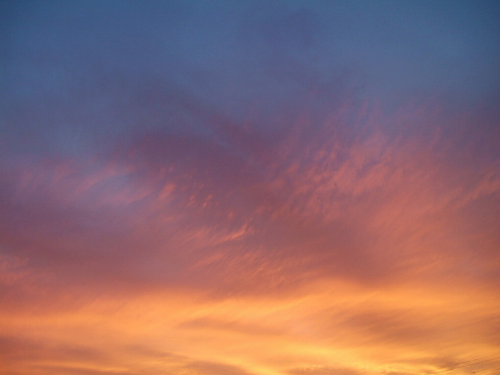 DSCF2403.jpg