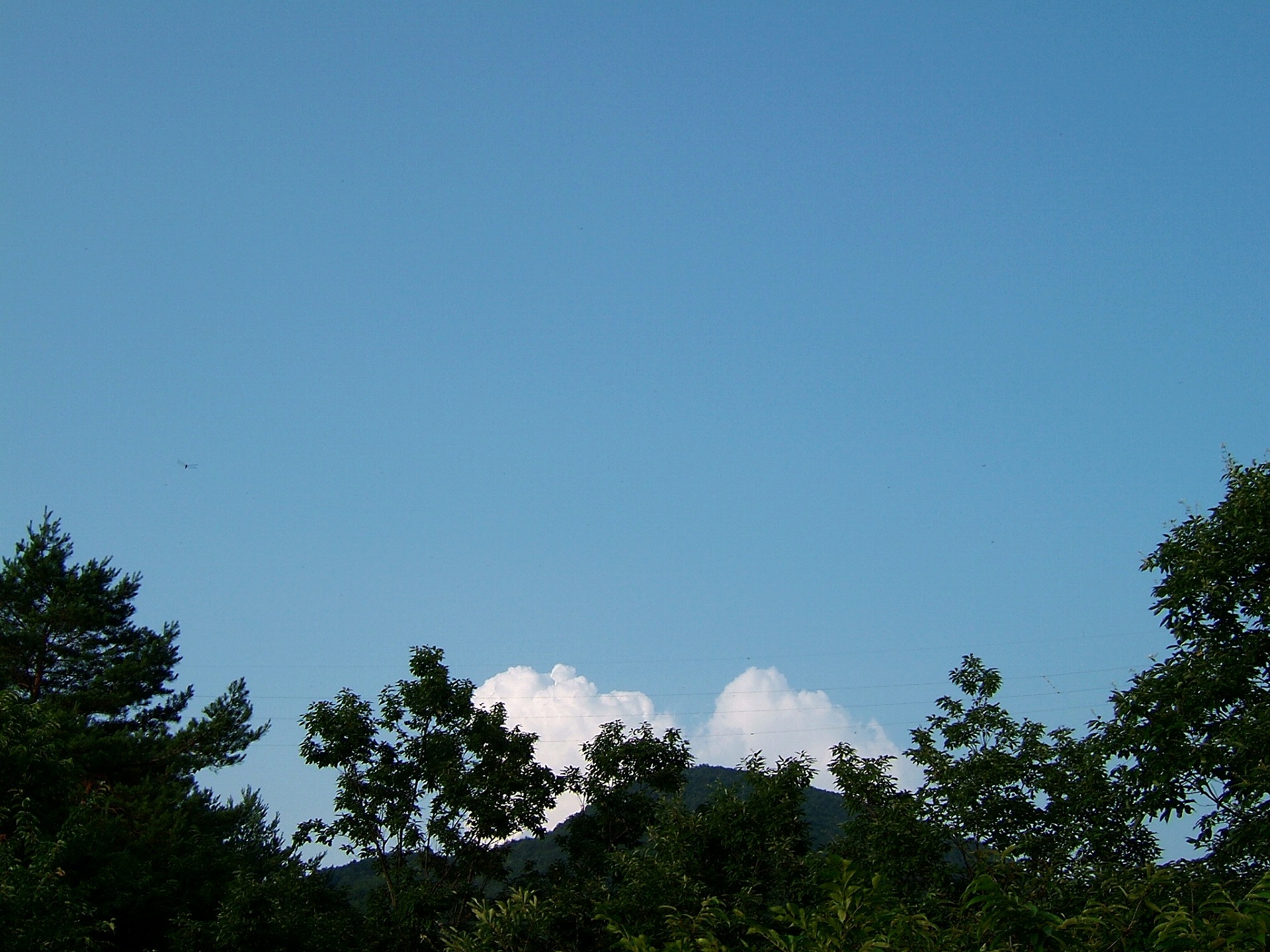 DSCF3045.jpg