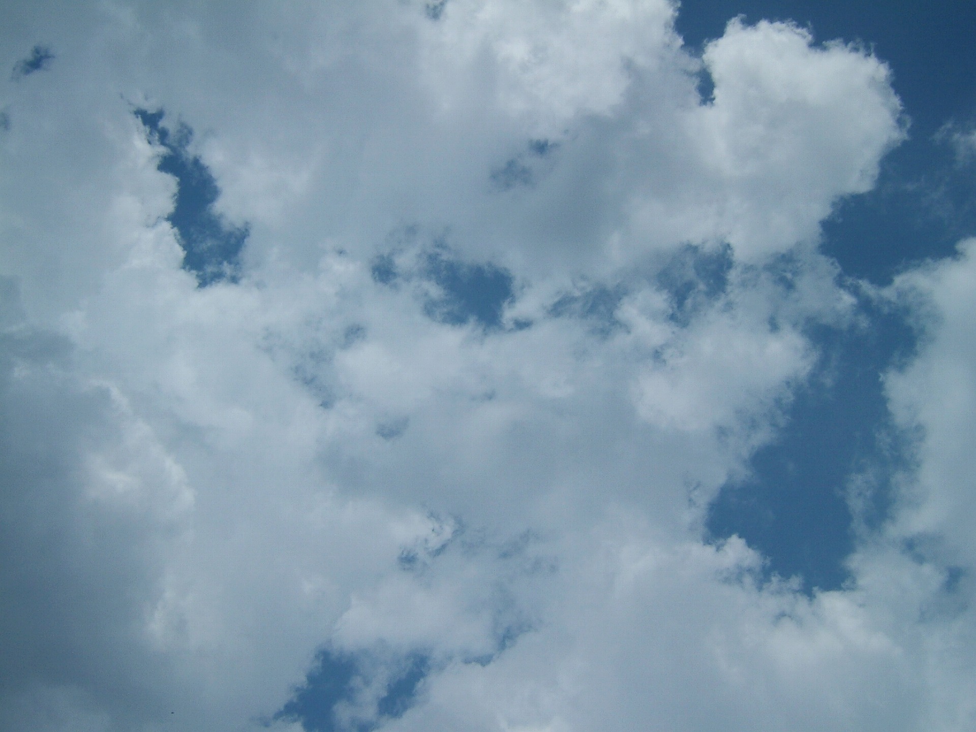 DSCF3271.jpg