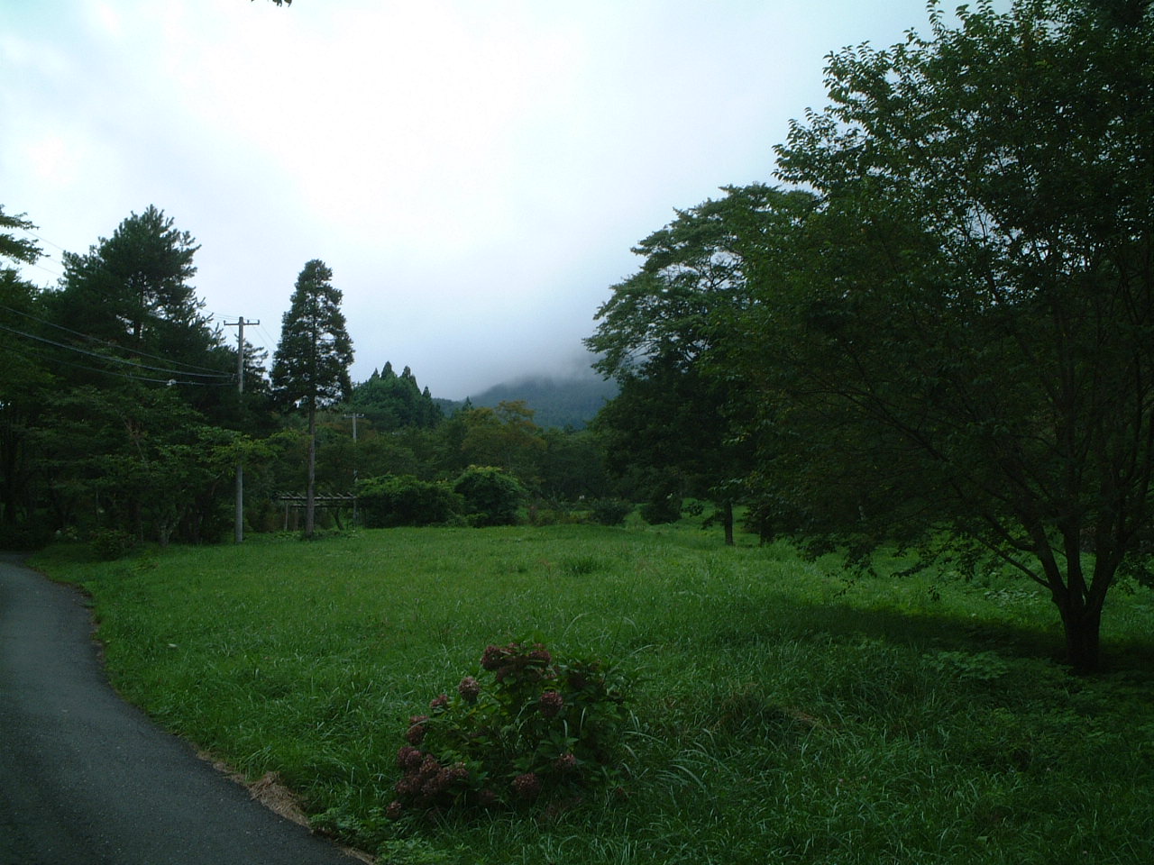DSCF0002.JPG
