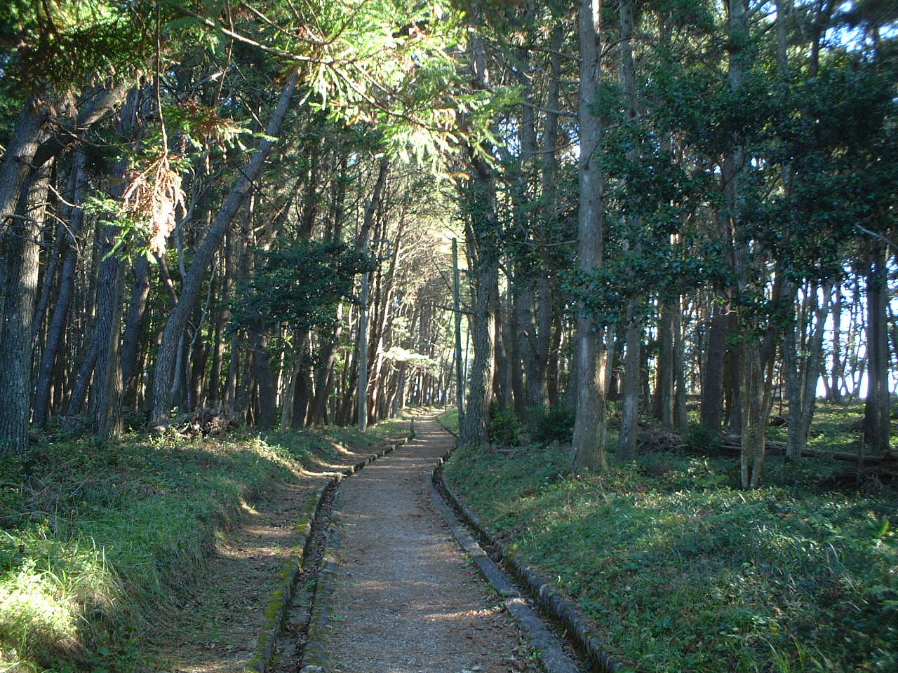 DSCF0093.JPG