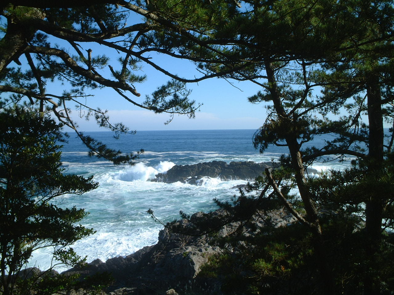 DSCF0096.JPG
