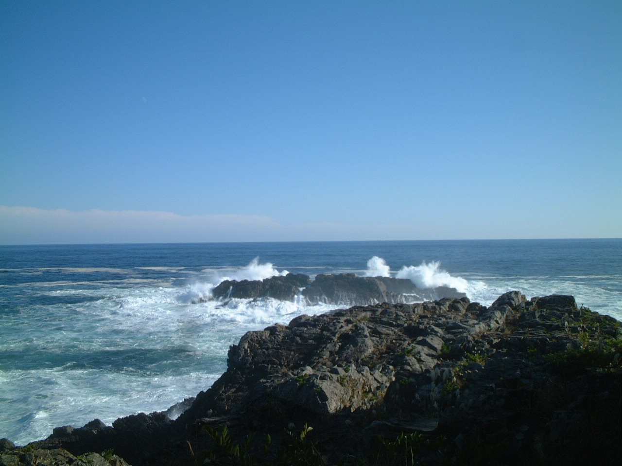 DSCF0098.JPG