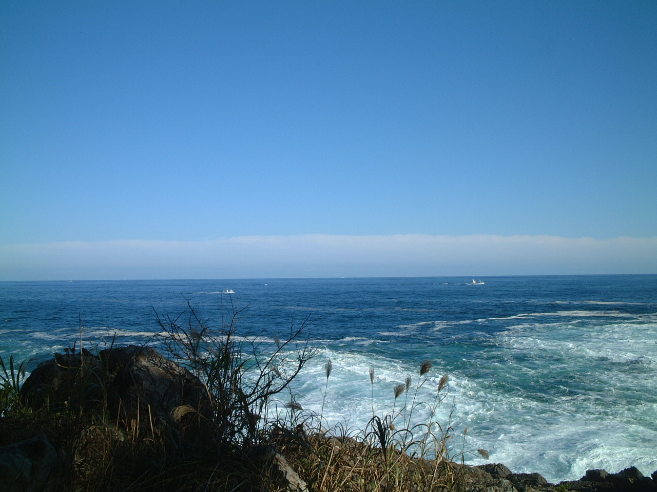 DSCF0101.JPG