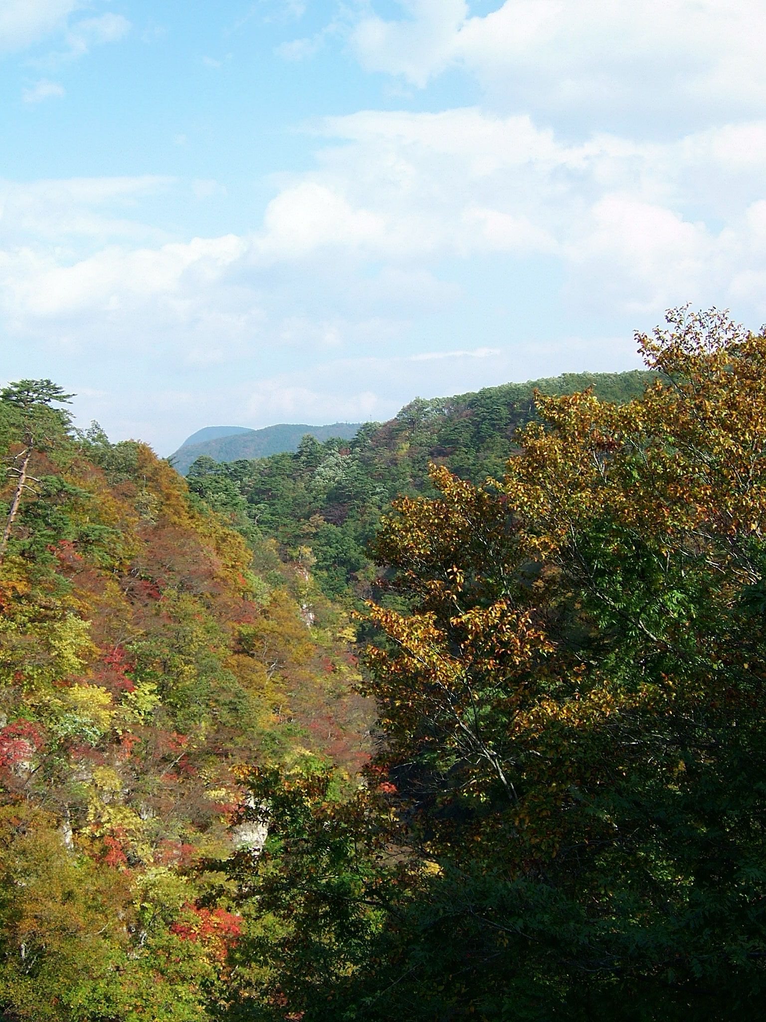 DSCF4090.JPG