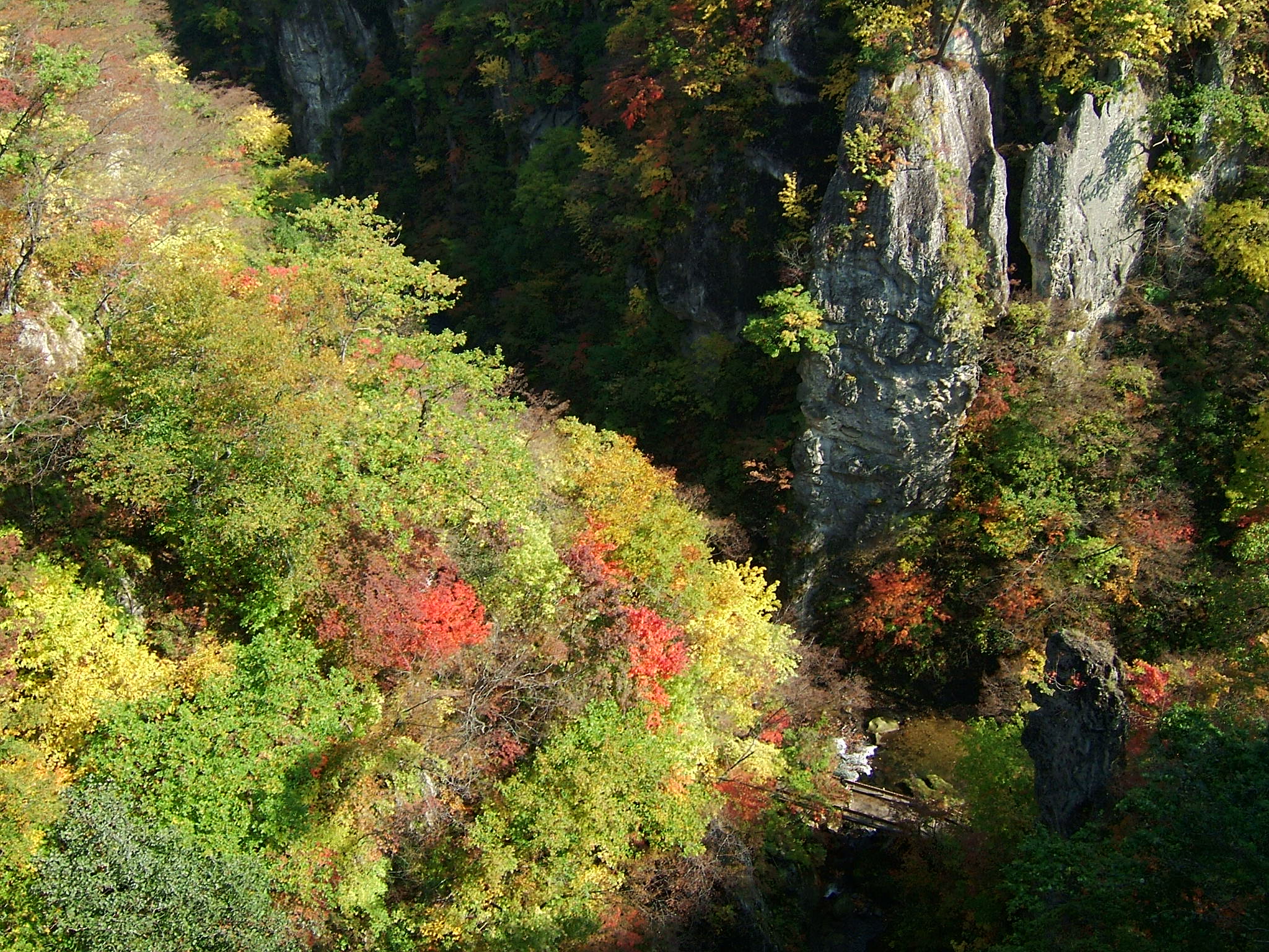 DSCF4103.JPG