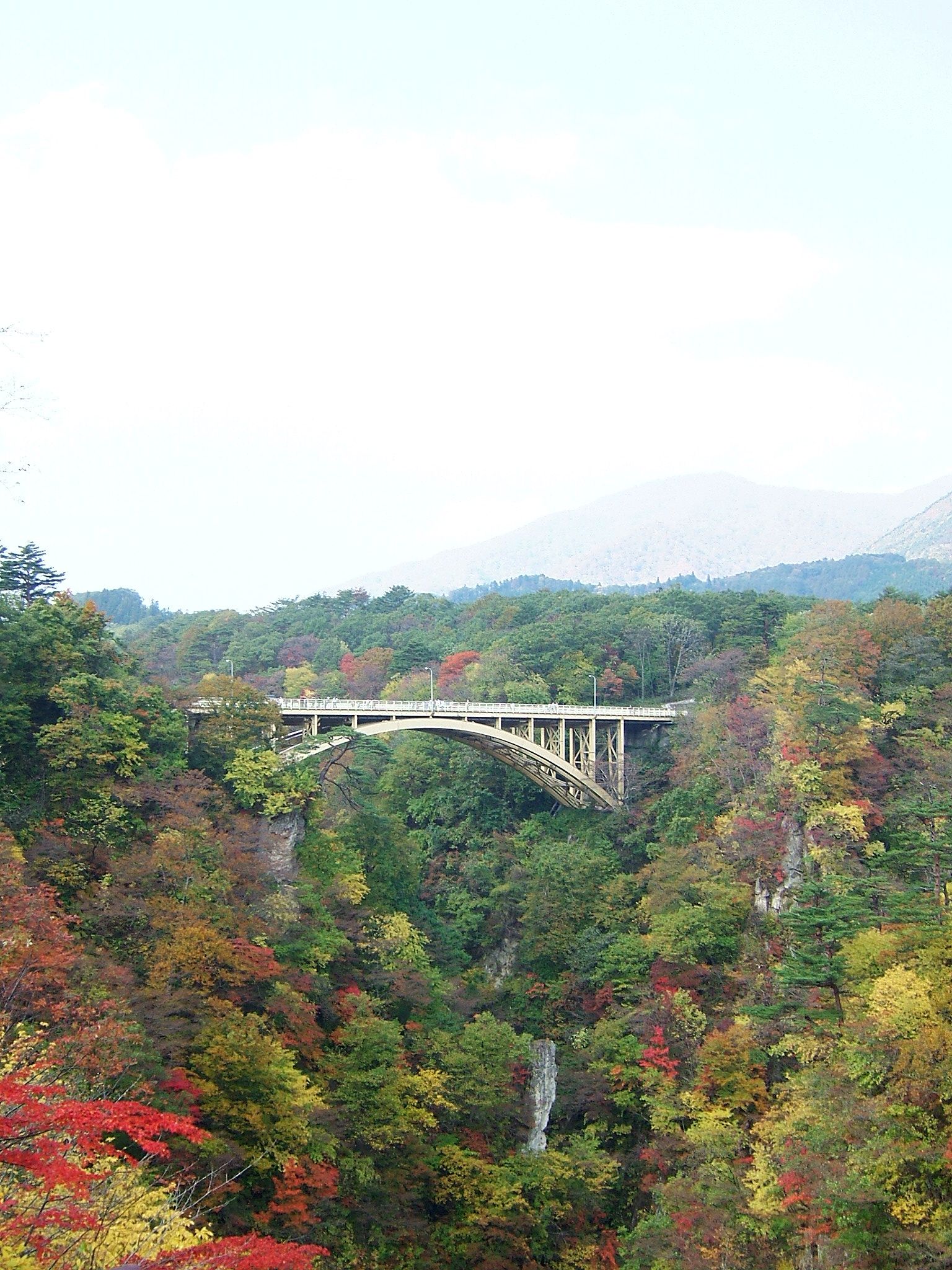 DSCF4118.JPG
