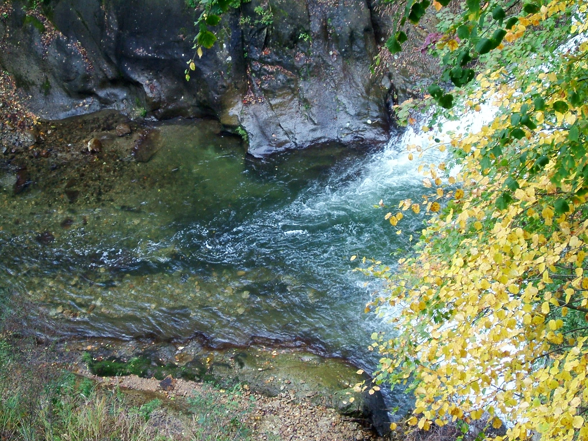DSCF4134.JPG
