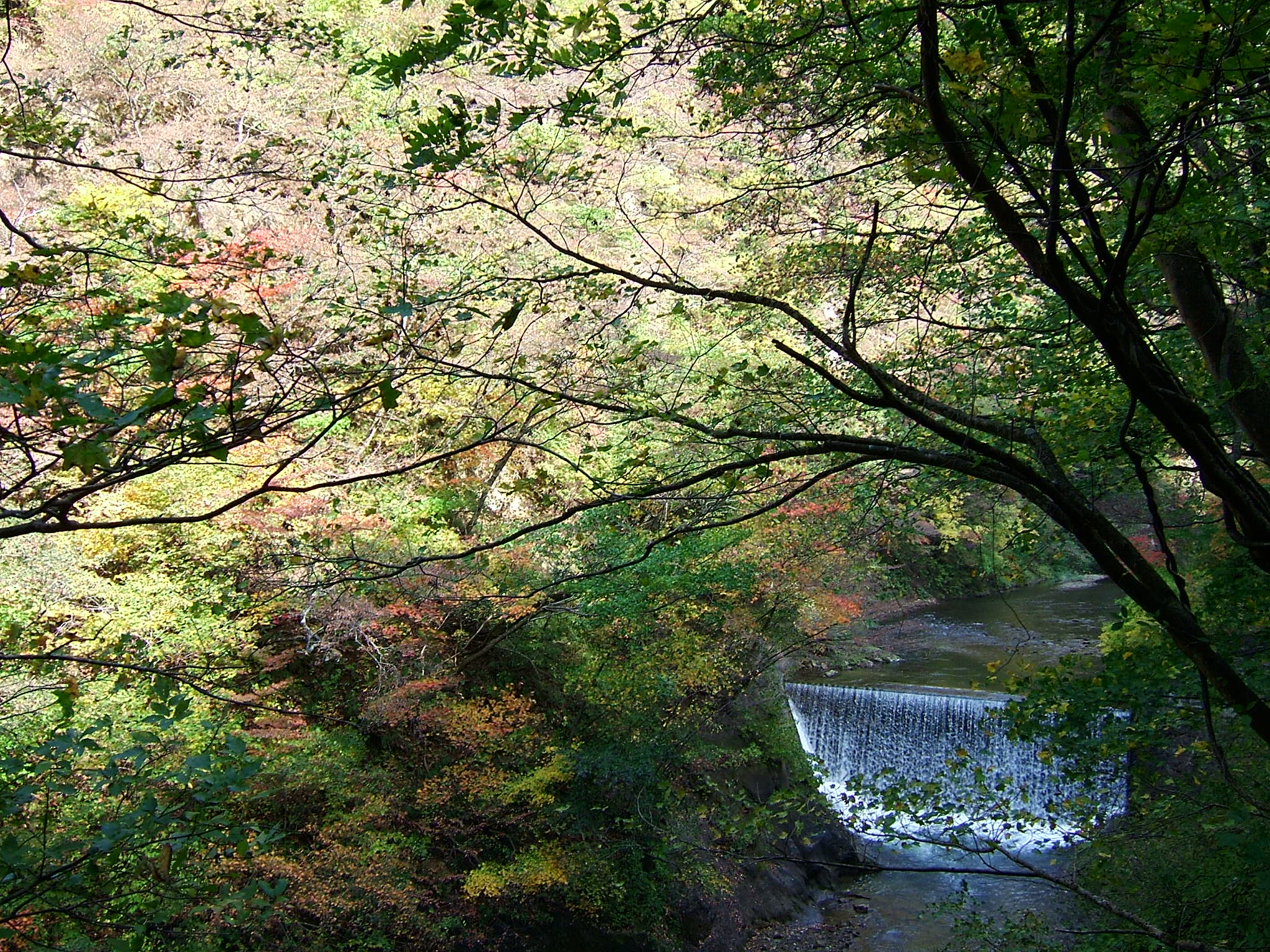 DSCF4138.JPG