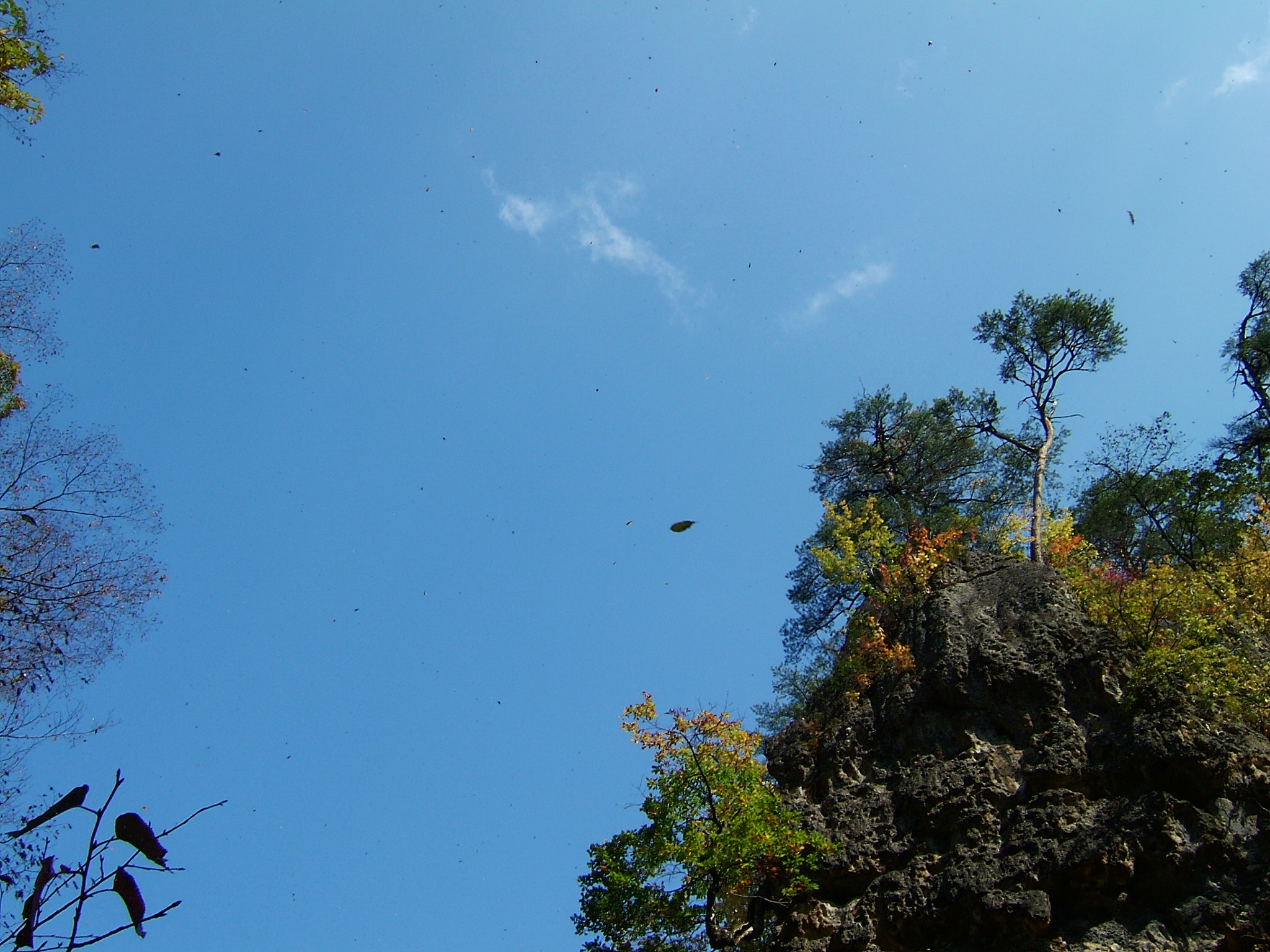 DSCF4153.JPG