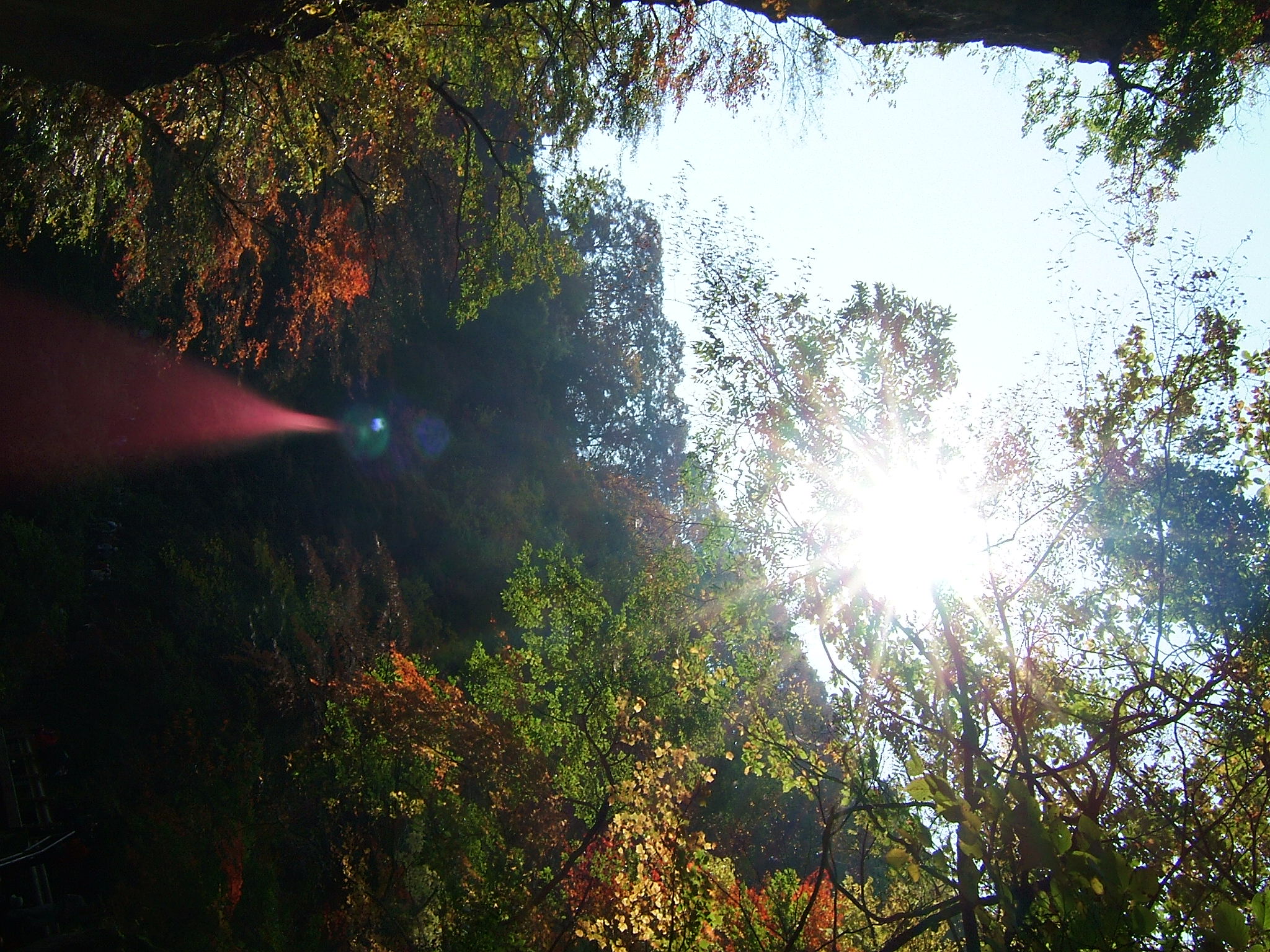 DSCF4165.JPG
