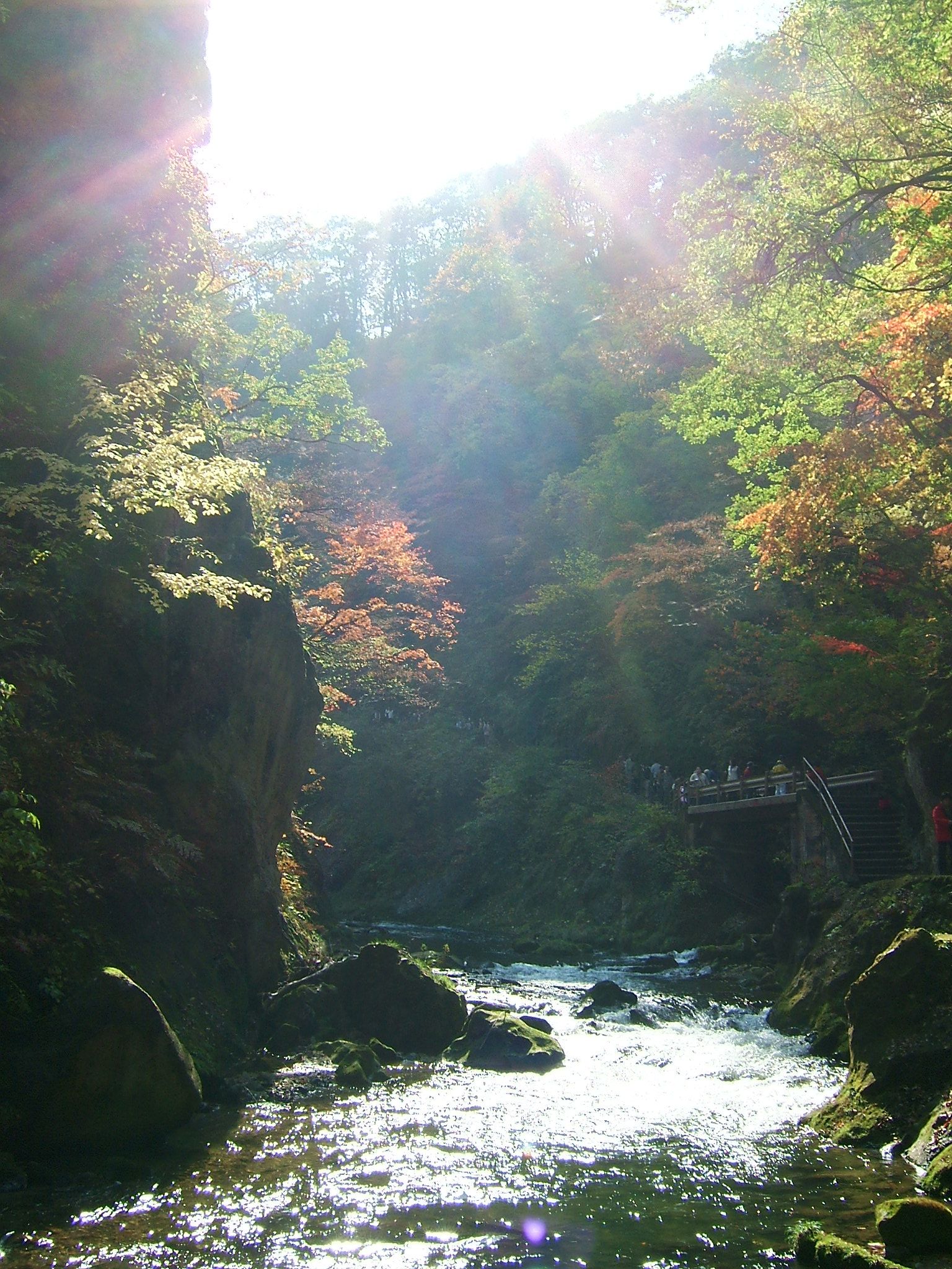 DSCF4167.JPG