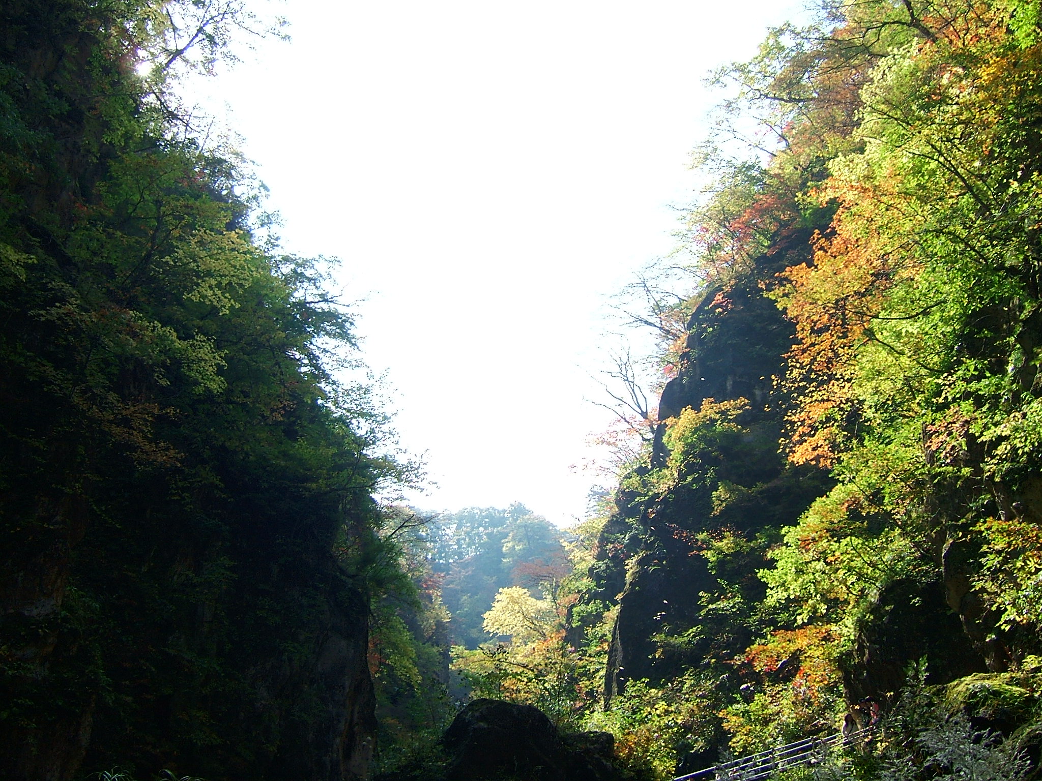 DSCF4176.JPG