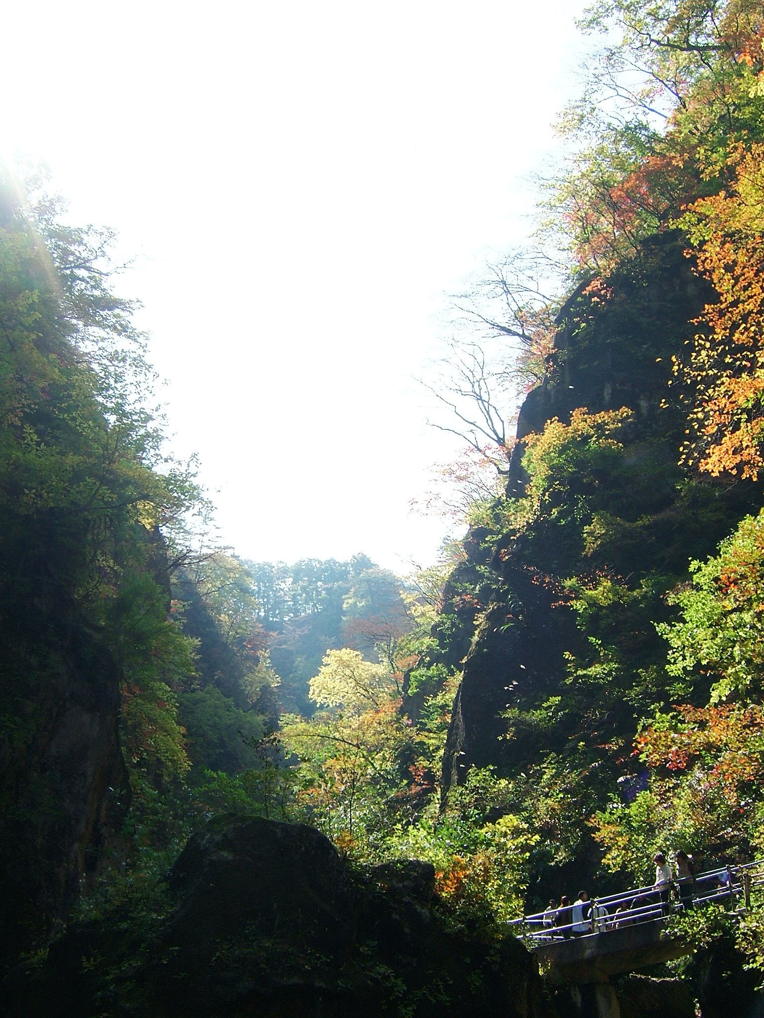 DSCF4184.JPG