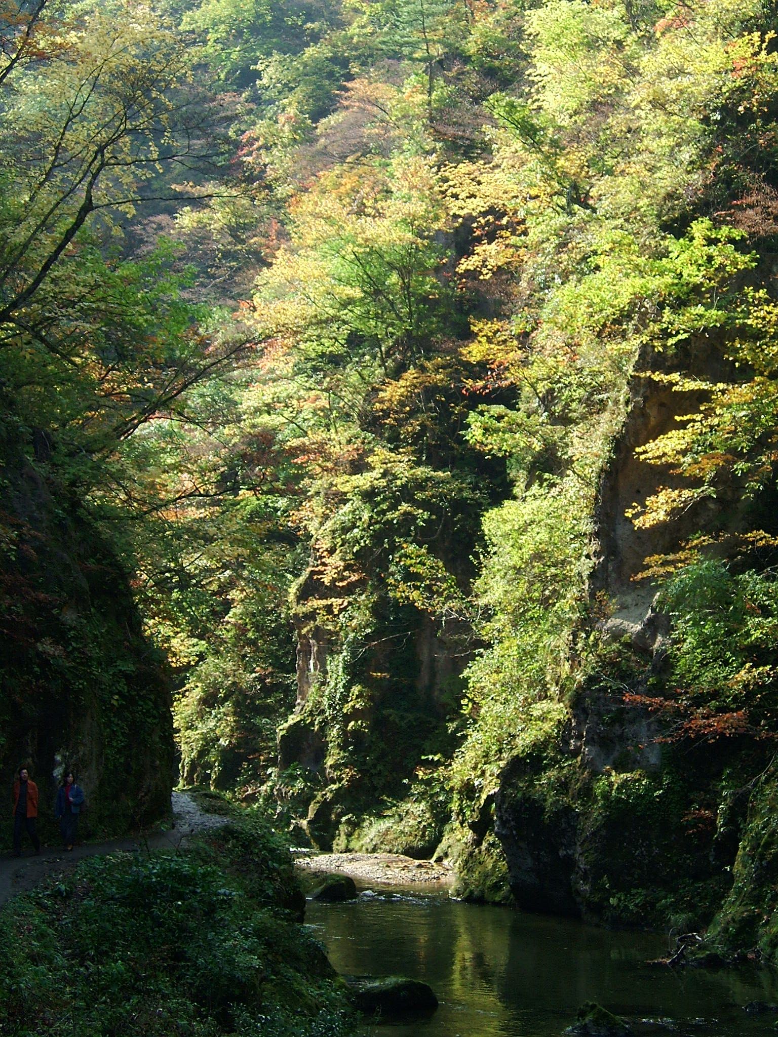 DSCF4196.JPG