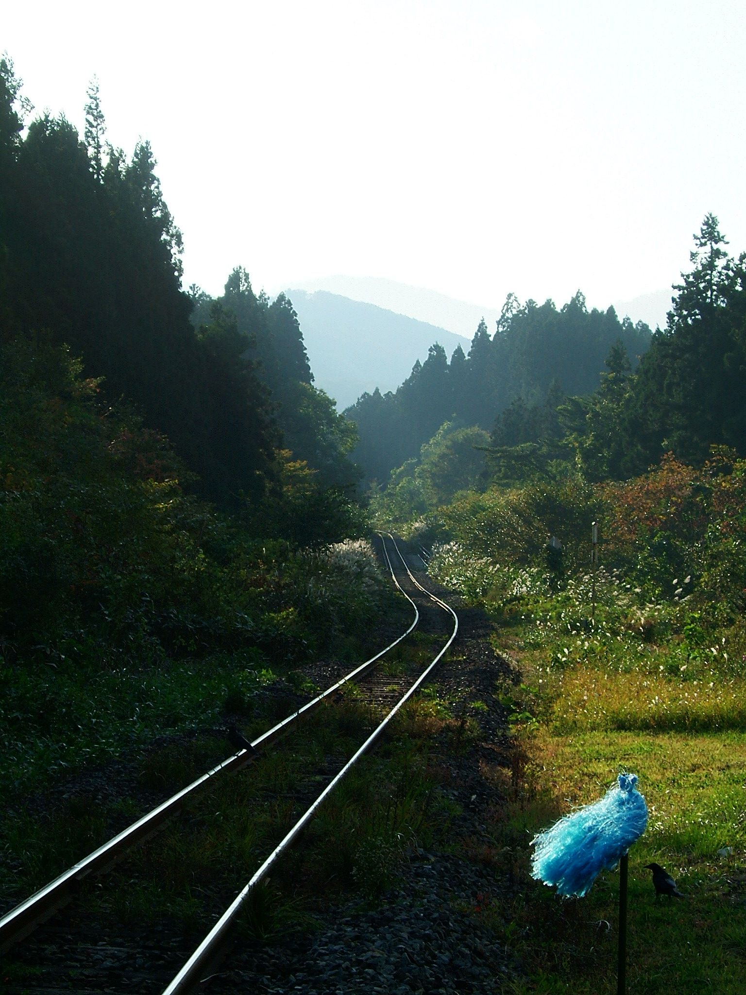 DSCF4211.JPG