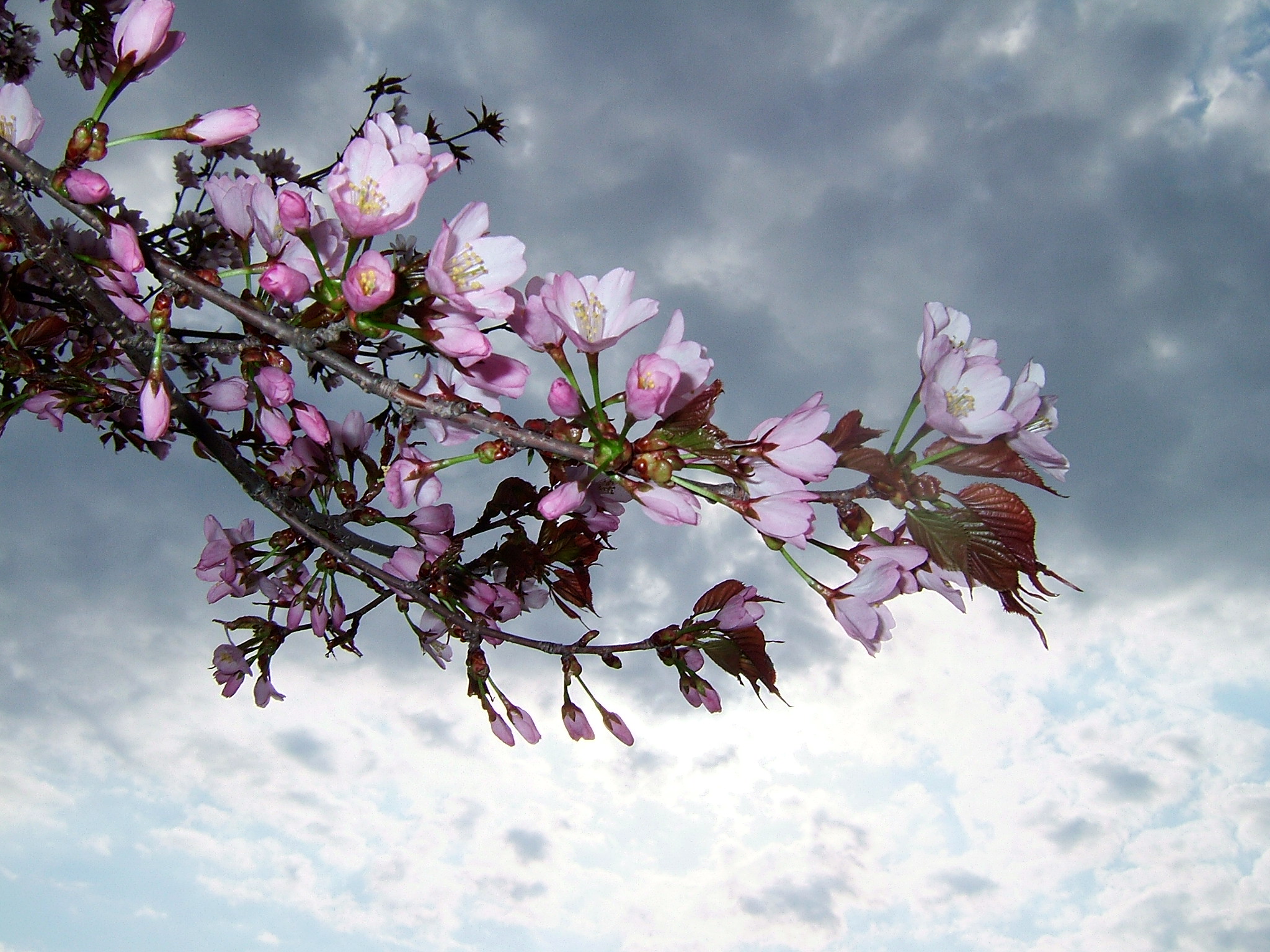 DSCF5474.JPG