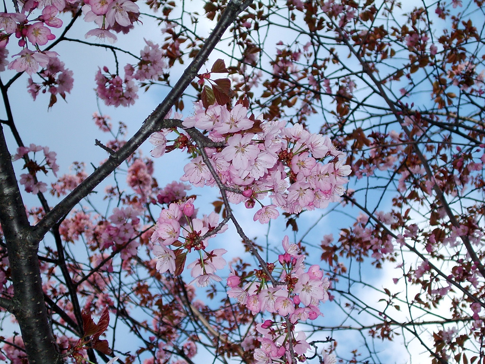 DSCF5512.JPG