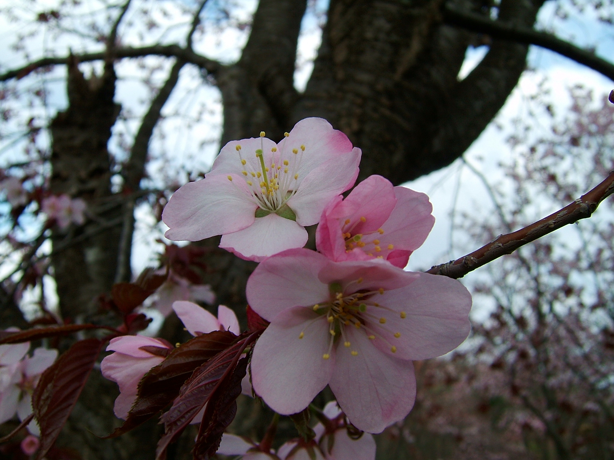 DSCF5527.JPG