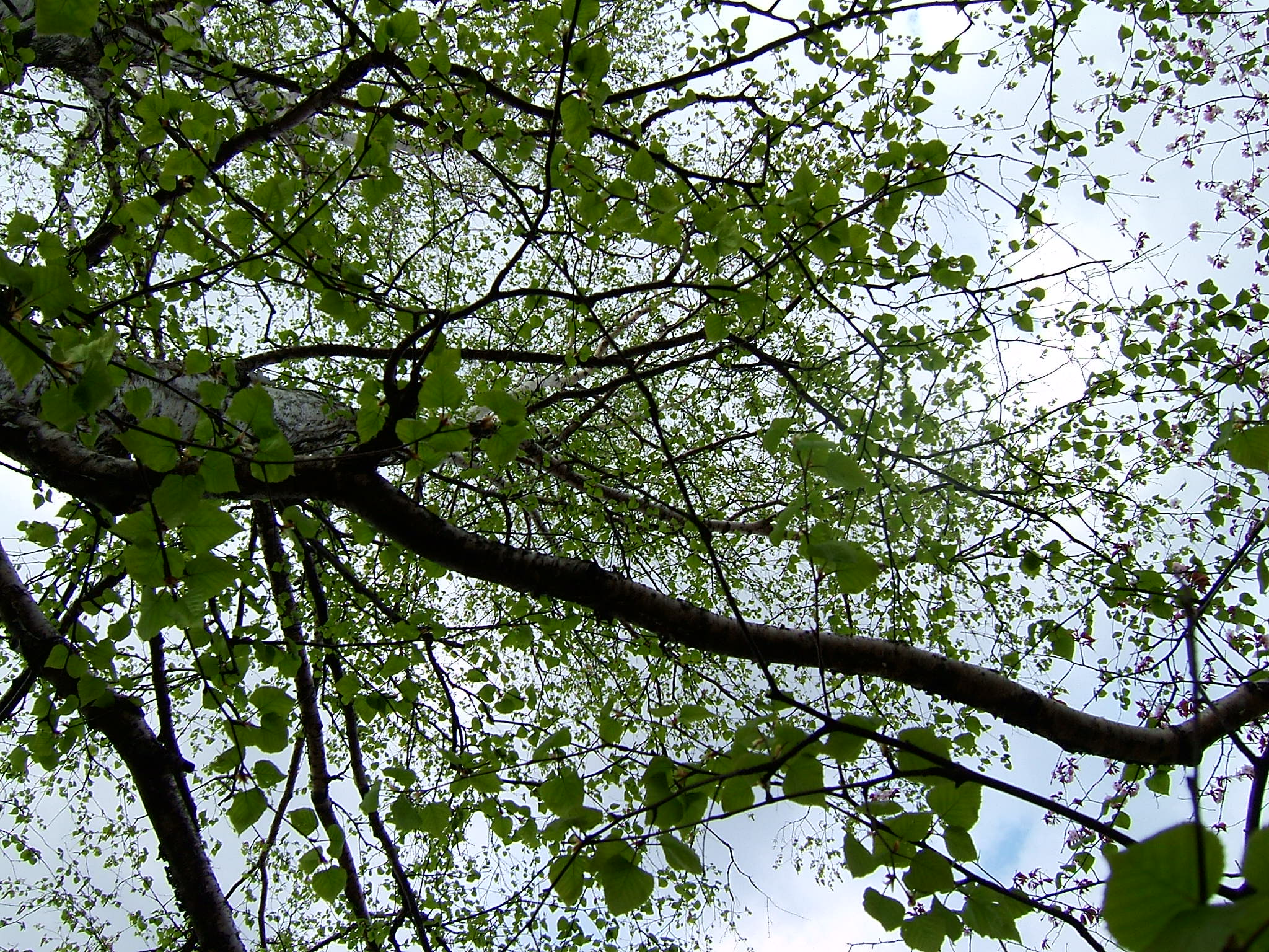 DSCF5530.JPG