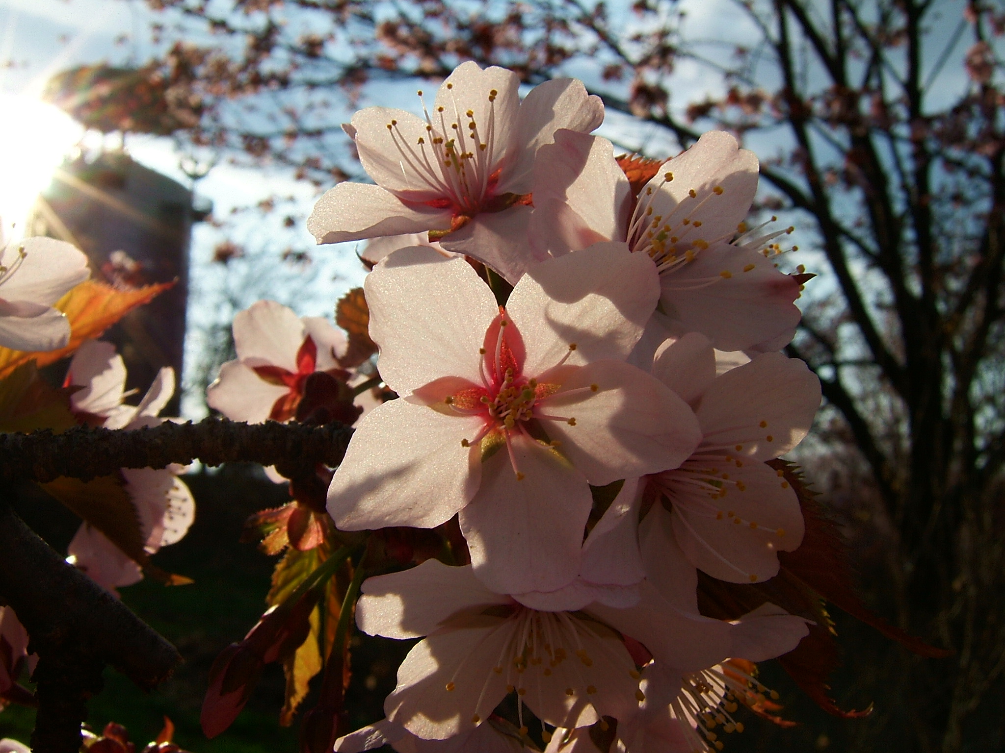DSCF5555.JPG