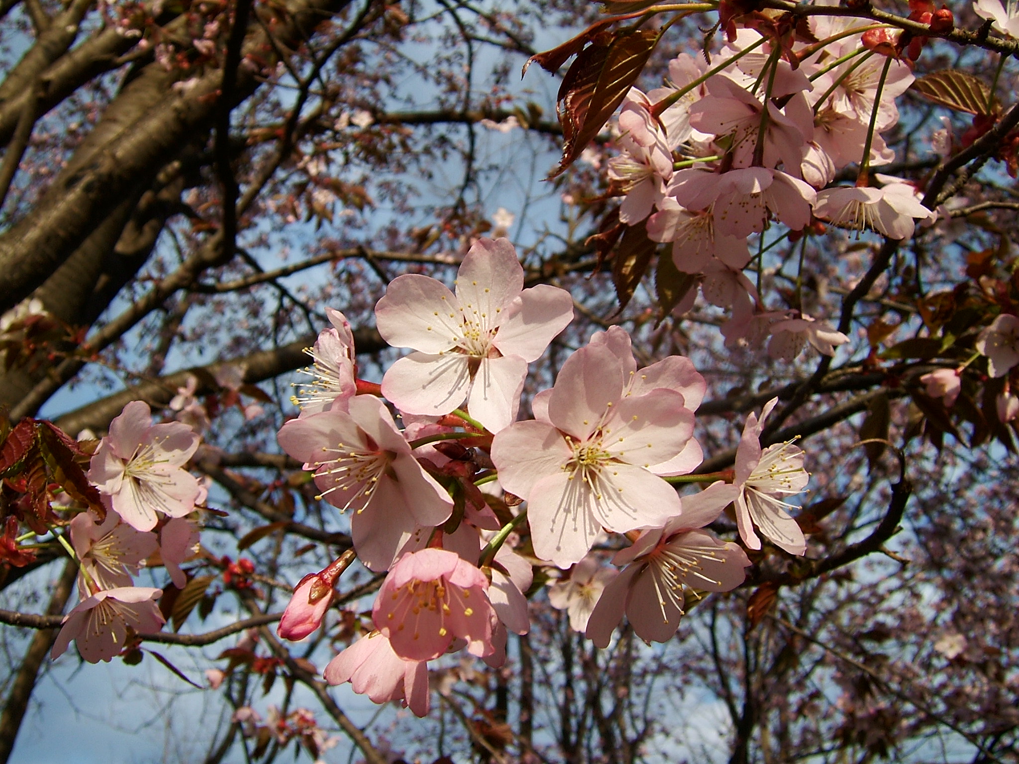 DSCF5560.JPG
