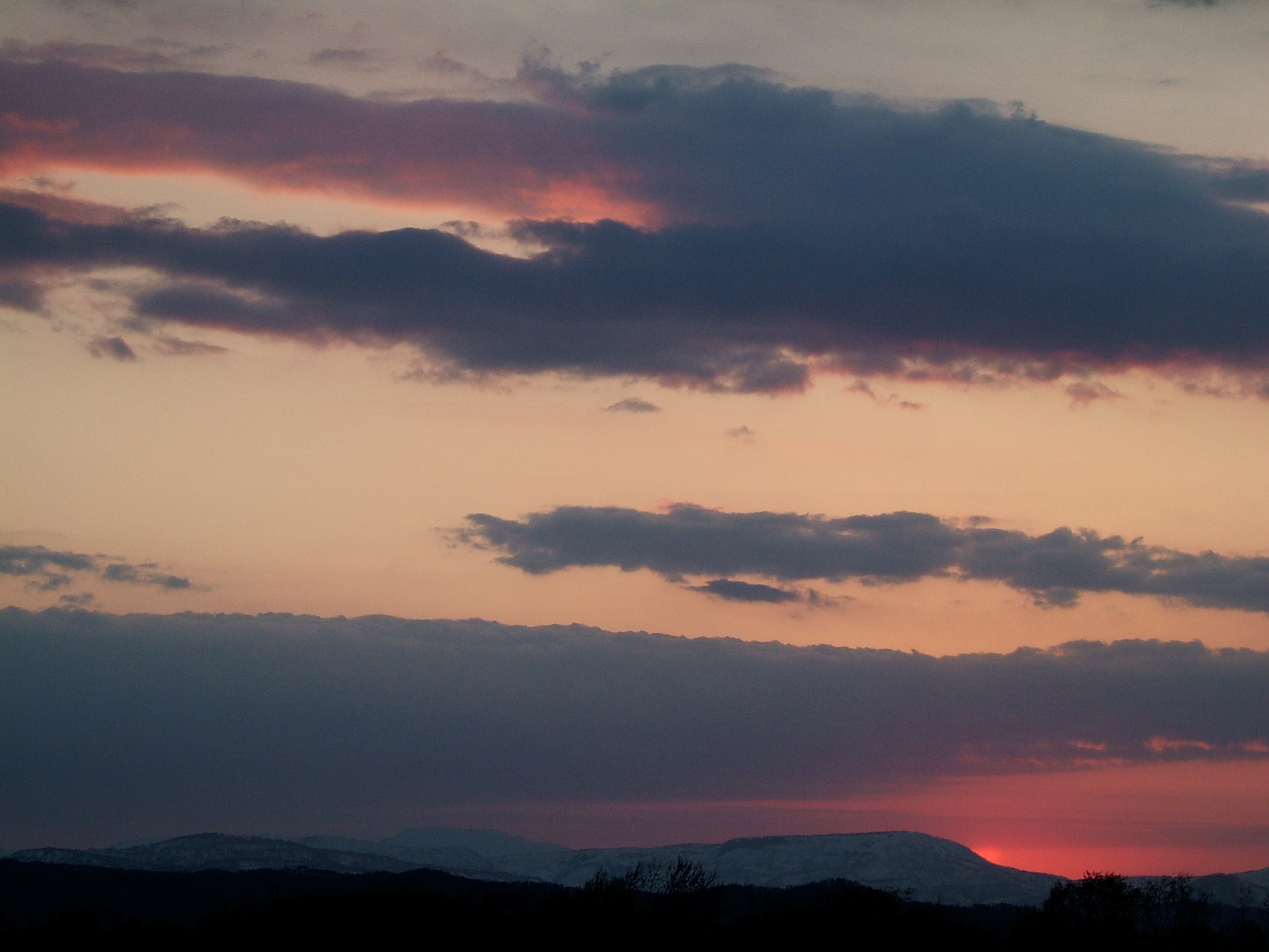 DSCF5565.JPG