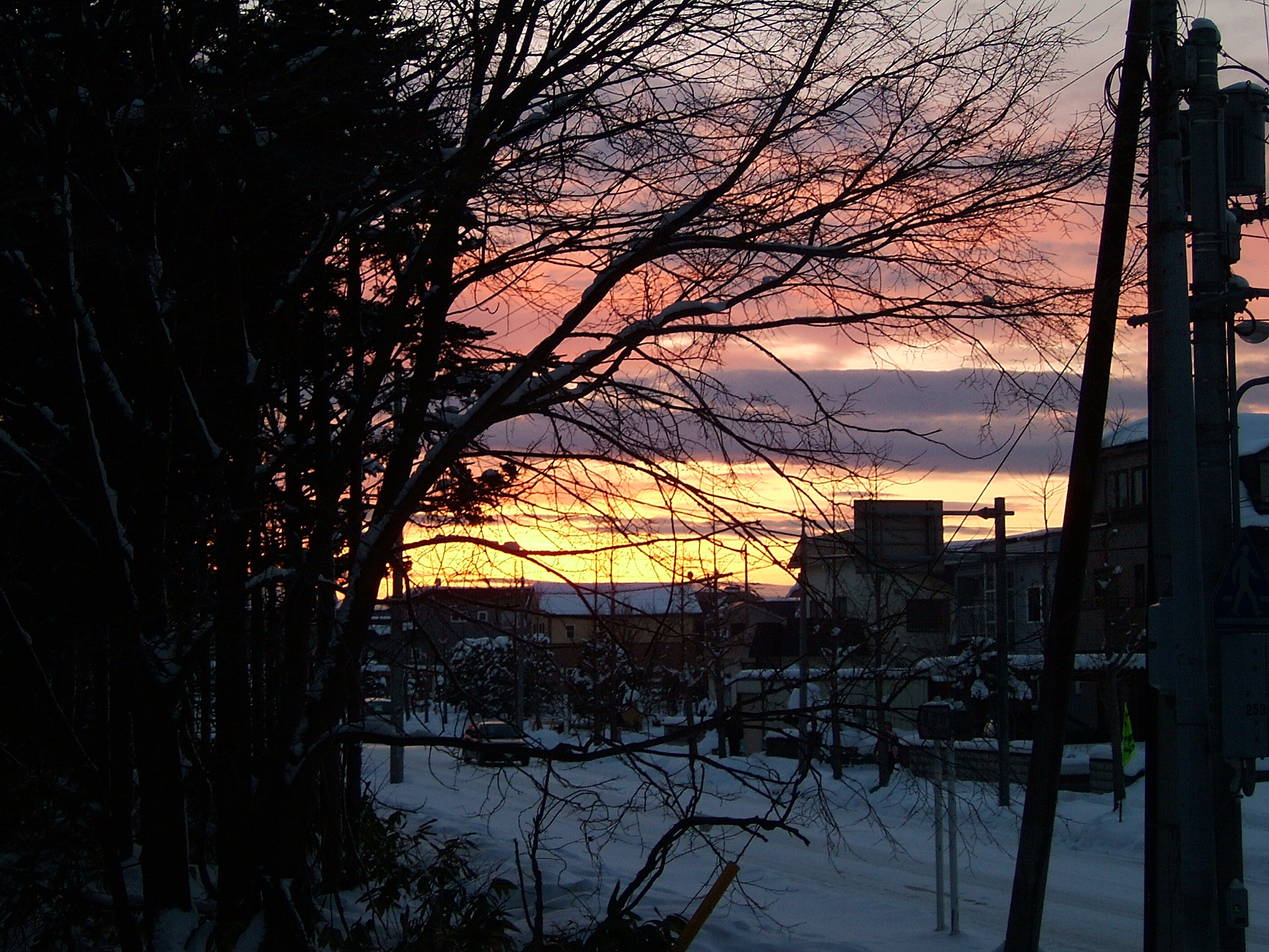 DSCF6567.JPG